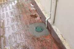WhatsApp-Image-2026-01-26-at-7.08.42-PM-1